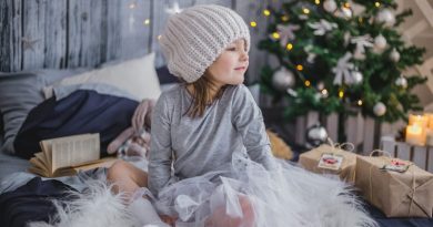 13 tipů na vánoční dárek pro dvouleté dítě